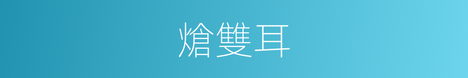 熗雙耳的同義詞