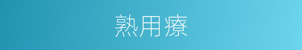 熟用療的同義詞