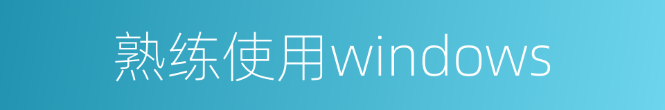 熟练使用windows的同义词