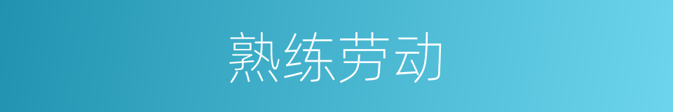 熟练劳动的同义词