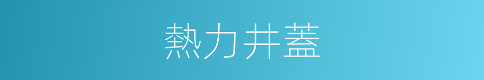 熱力井蓋的同義詞