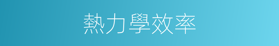 熱力學效率的同義詞