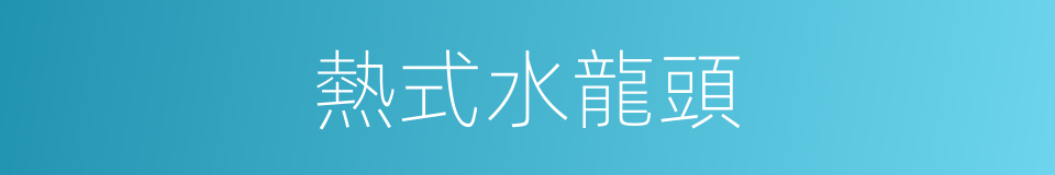 熱式水龍頭的同義詞