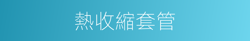 熱收縮套管的同義詞