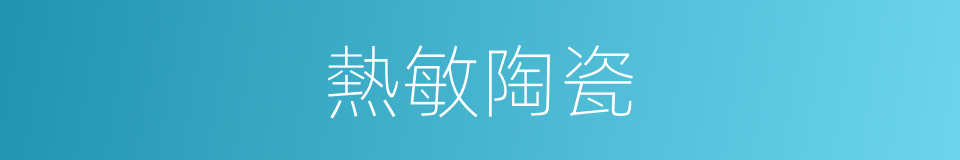 熱敏陶瓷的同義詞