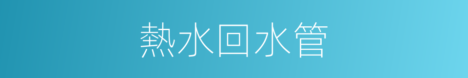 熱水回水管的同義詞