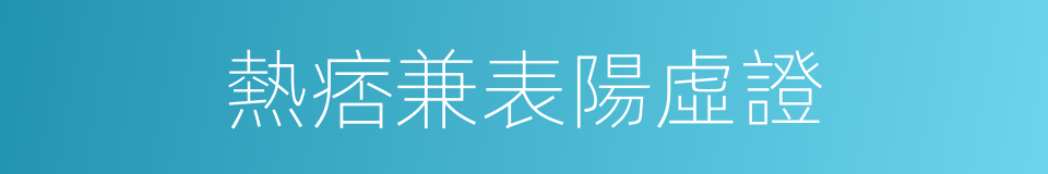 熱痞兼表陽虛證的同義詞