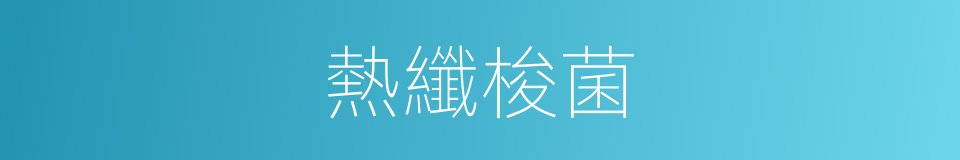 熱纖梭菌的同義詞