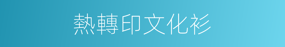 熱轉印文化衫的同義詞