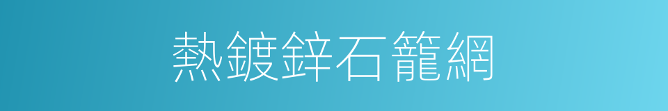 熱鍍鋅石籠網的同義詞