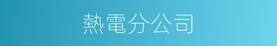 熱電分公司的同義詞