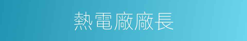 熱電廠廠長的同義詞