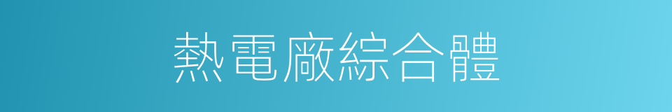 熱電廠綜合體的同義詞
