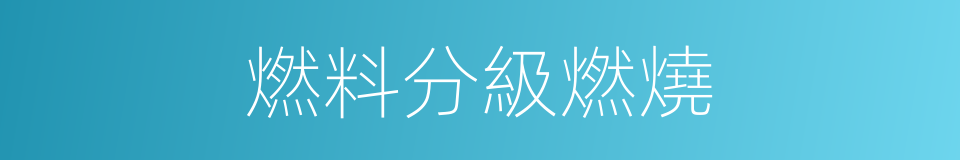 燃料分級燃燒的同義詞