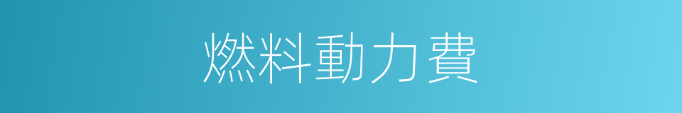 燃料動力費的同義詞