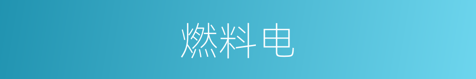 燃料电的意思