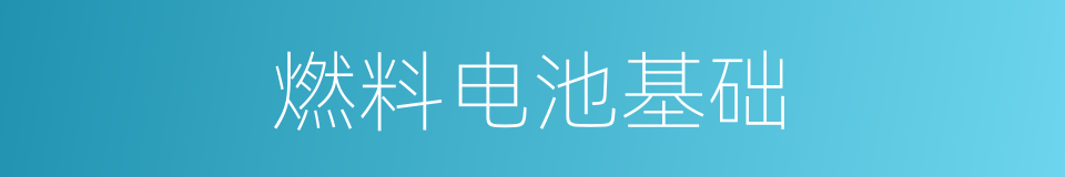燃料电池基础的同义词