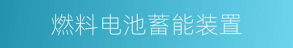 燃料电池蓄能装置的同义词