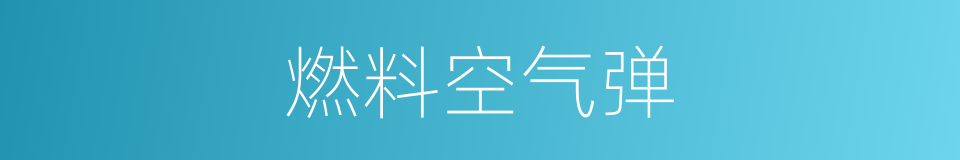 燃料空气弹的同义词