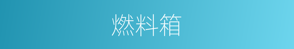 燃料箱的同义词