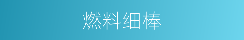燃料细棒的意思