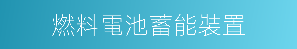 燃料電池蓄能裝置的同義詞