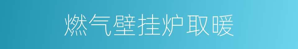 燃气壁挂炉取暖的同义词