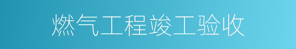 燃气工程竣工验收的同义词