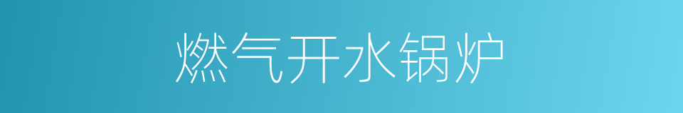 燃气开水锅炉的同义词