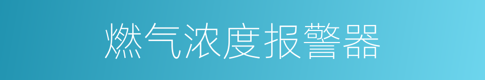 燃气浓度报警器的同义词