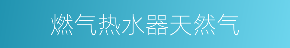 燃气热水器天然气的同义词