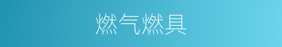 燃气燃具的同义词