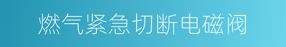 燃气紧急切断电磁阀的同义词