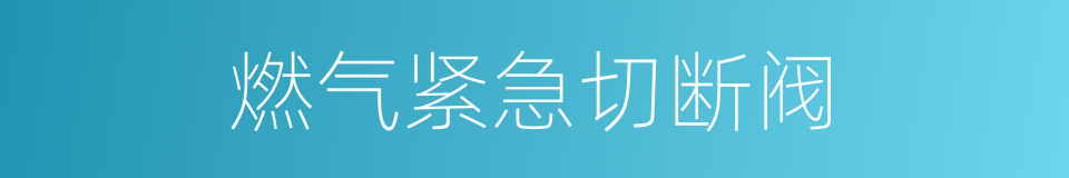 燃气紧急切断阀的同义词