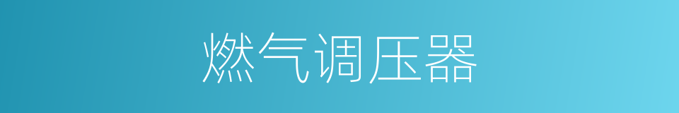 燃气调压器的同义词