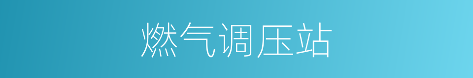 燃气调压站的同义词