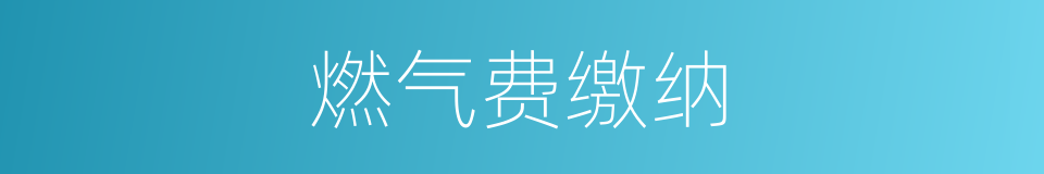 燃气费缴纳的同义词