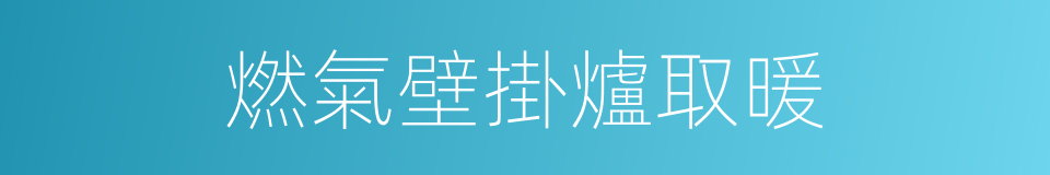 燃氣壁掛爐取暖的同義詞