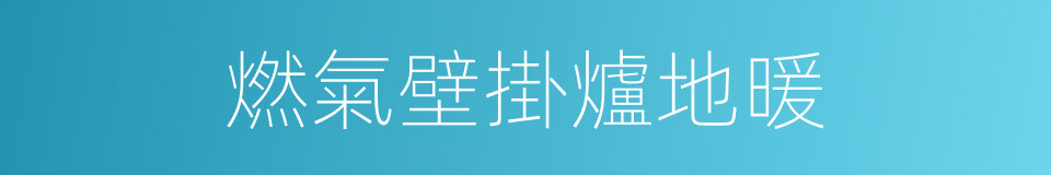 燃氣壁掛爐地暖的同義詞