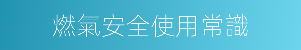 燃氣安全使用常識的同義詞