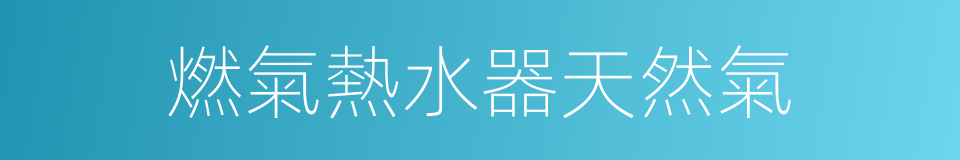 燃氣熱水器天然氣的同義詞