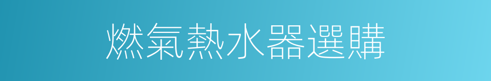 燃氣熱水器選購的同義詞