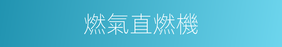 燃氣直燃機的同義詞