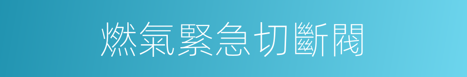 燃氣緊急切斷閥的同義詞