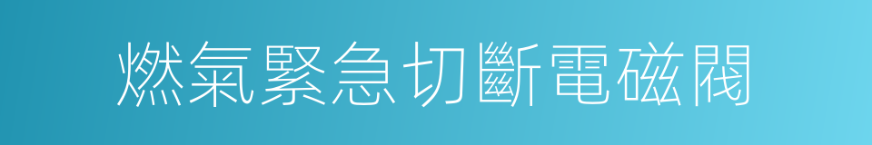 燃氣緊急切斷電磁閥的同義詞