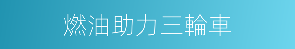 燃油助力三輪車的同義詞