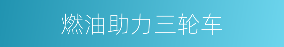 燃油助力三轮车的同义词