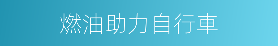 燃油助力自行車的同義詞