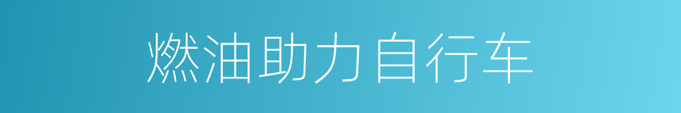 燃油助力自行车的同义词