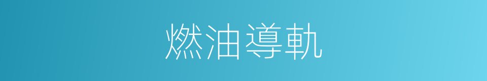 燃油導軌的同義詞